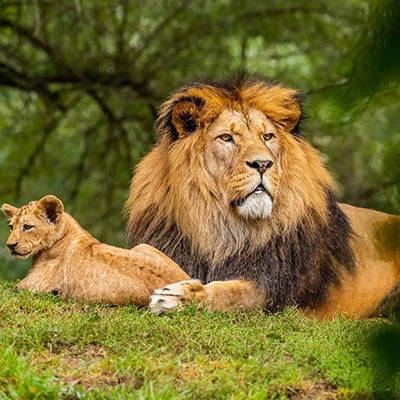 建筑抗震加固技術(shù)的發(fā)展趨勢 行業(yè)新聞 第4張 建筑抗震加固技術(shù)的發(fā)展趨勢 行業(yè)新聞 第4張