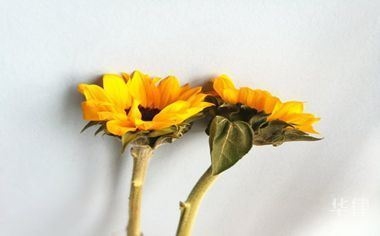 開(kāi)一家50間房的賓館需要投資多少錢(qián) 行業(yè)新聞 第1張 開(kāi)一家50間房的賓館需要投資多少錢(qián) 行業(yè)新聞 第1張