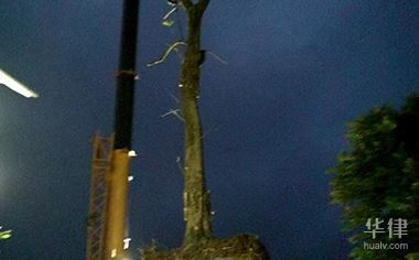 開(kāi)一家50間房的賓館需要投資多少錢(qián) 行業(yè)新聞 第5張 開(kāi)一家50間房的賓館需要投資多少錢(qián) 行業(yè)新聞 第5張