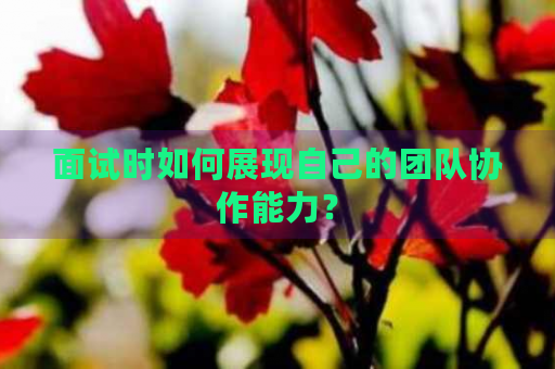 面試展現(xiàn)團(tuán)隊(duì)協(xié)作的實(shí)例選擇，中如何展示團(tuán)隊(duì)協(xié)作能力，精選實(shí)例 行業(yè)新聞 第2張