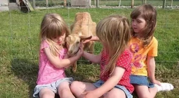 民宿公司簡介怎么寫，供你參考，你可以根據(jù)具體需求進(jìn)行選擇，，實(shí)用干貨型，超全攻略！民宿公司簡介撰寫要點(diǎn)大揭秘，引導(dǎo)啟發(fā)型，解鎖民宿魅力，教你寫出吸睛的公司簡介，直白簡潔型，民宿公司 行業(yè)新聞 第4張