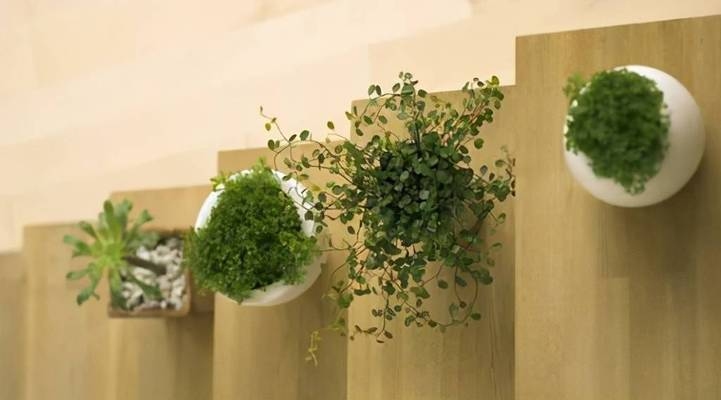 綠色建筑材料在工業(yè)建筑中的使用，幾種不同風格的標題供你參考，你可以根據(jù)具體需求進行選擇，，綠色建材賦能工業(yè)建筑，開啟可持續(xù)發(fā)展新篇章，聚焦，綠色建筑材料于工業(yè)建筑領(lǐng)域的創(chuàng)新應用，探秘綠色建筑材料在工業(yè)建筑中的多元運用之道