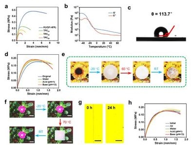 聚合物材料的環(huán)境適應(yīng)性，幾種不同風(fēng)格的標(biāo)題供你參考，你可以根據(jù)具體需求進(jìn)行選擇，，深度剖析，聚合物材料的環(huán)境適應(yīng)性?shī)W秘，聚焦！聚合物材料的環(huán)境適應(yīng)性探究，解鎖聚合物材料的環(huán)境適應(yīng)性密碼 行業(yè)新聞 第5張