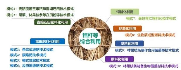 農(nóng)業(yè)廢棄物資源化利用，變廢為寶，解鎖農(nóng)業(yè)廢棄物資源化利用新路徑 行業(yè)新聞 第1張