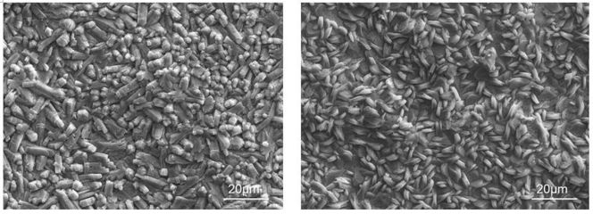 磷化處理提高涂層附著力原理，磷化處理，解鎖涂層附著力提升 行業(yè)新聞 第5張