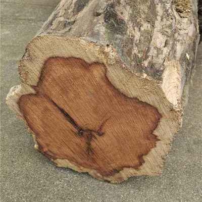 如何檢測罩面漆VOC含量，幾種不同風格的標題供你參考，，專業(yè)嚴謹風，罩面漆VOC含量檢測方法解析，實用指南風，輕松掌握，檢測罩面漆VOC含量的有效途徑，疑問引導風，怎樣精準檢測罩面漆中的VOC含量？ 行業(yè)新聞 第1張