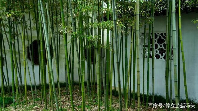 建筑模板材料環(huán)保性能比較，供你參考，你可以根據(jù)具體需求進行選擇，，聚焦建筑模板材料，環(huán)保性能大比拼，深度剖析，建筑模板材料的環(huán)保性能差異，探尋建筑模板材料環(huán)保性能 行業(yè)新聞 第3張